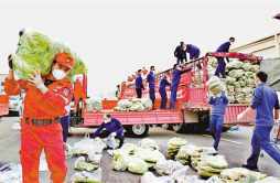 垫江：5位企业家为家乡捐赠450吨蔬菜