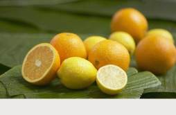 低卡的柑橘减肥法