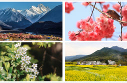 《春暖花开的中国》开播 绘就美丽中国春景图