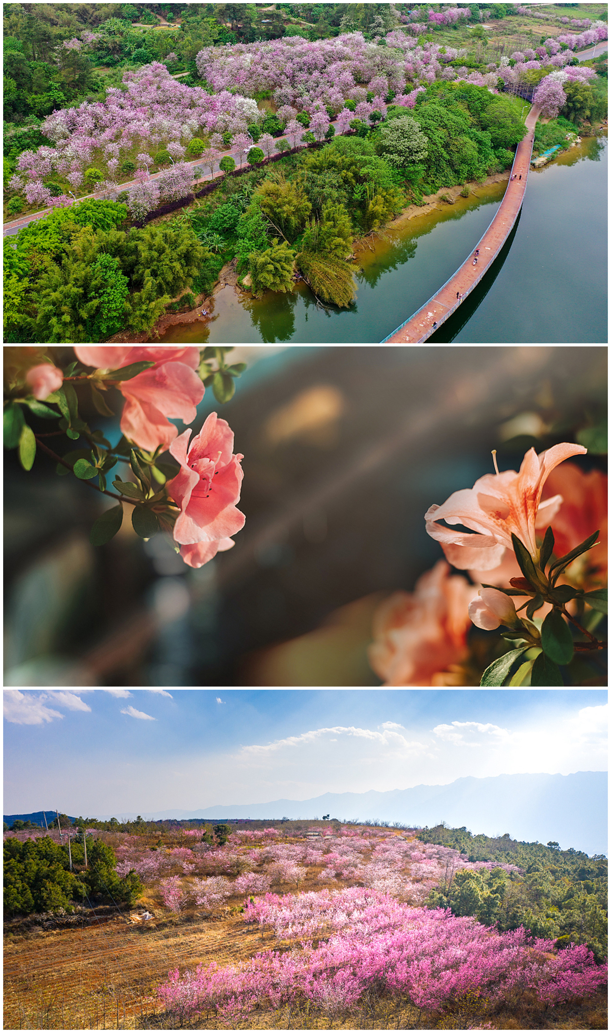 《春暖花开的中国》开播 绘就美丽中国春景图
